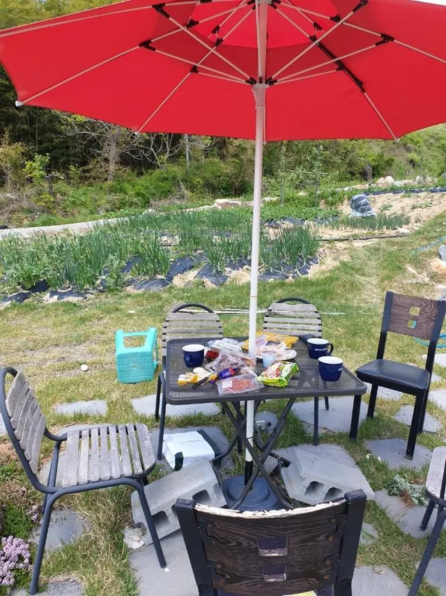 경북 성주군 수륜면 작은리 35 사진 4