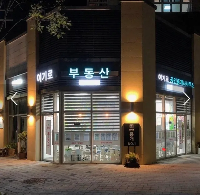 세종특별자치시 새롬동 564 사진 3