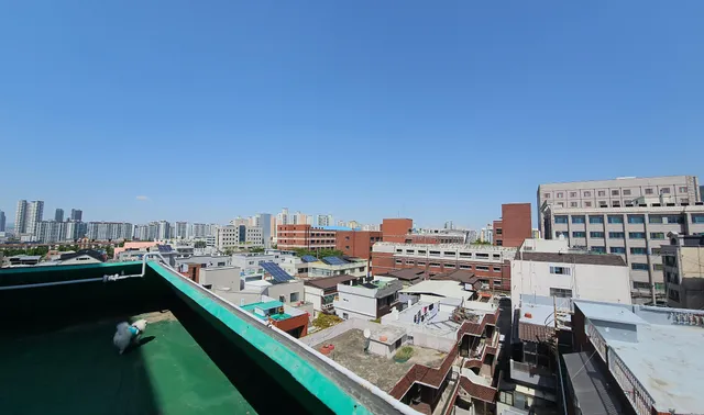 대구 달서구 본동 799 사진 4
