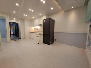 서울 영등포구 대림동 투룸 매물
