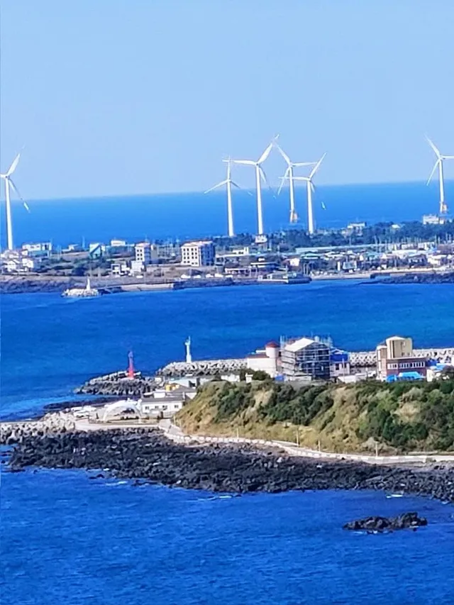 제주특별자치도 제주시 한경면 용수리 4224-1 사진 2