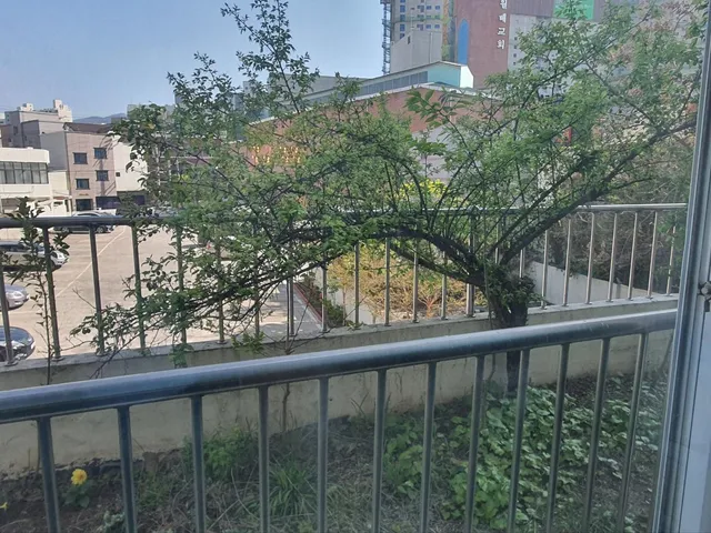 대구 달서구 진천동 560-13 사진 3