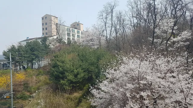 서울 관악구 봉천동 1594-4 사진 3