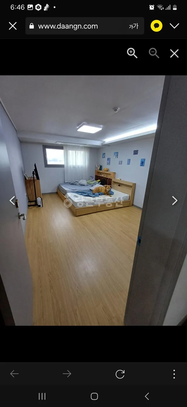 제주특별자치도 서귀포시 대정읍 상모리 3078 사진 4