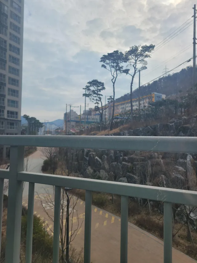 부산 사하구 괴정동 1295 사진 2