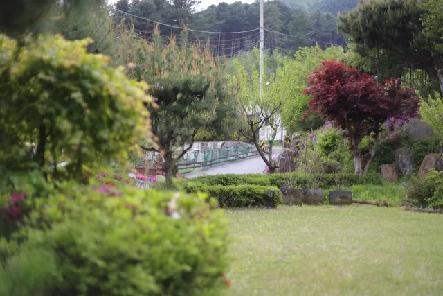 경기 가평군 상면 행현리 769-5 사진 4