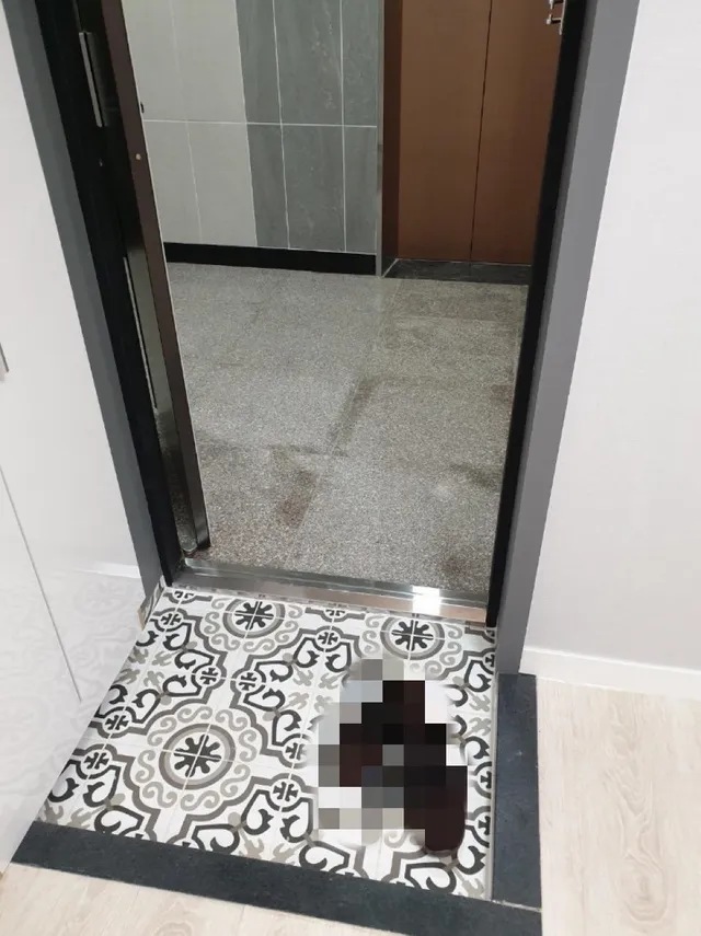 전남 여수시 돌산읍 우두리 사진 3
