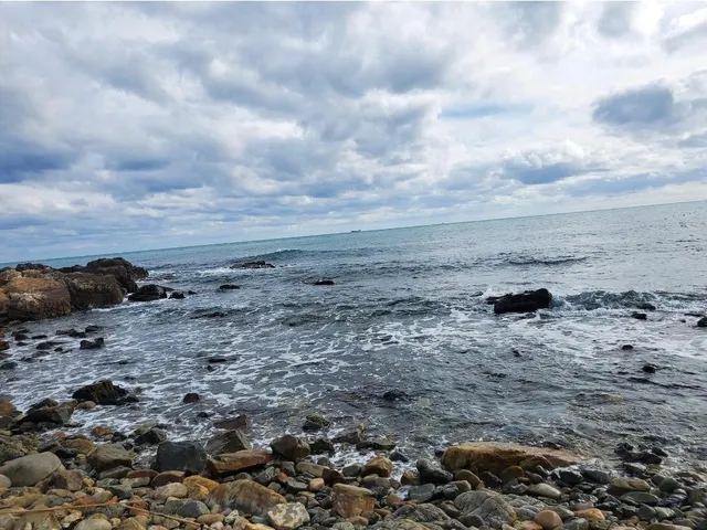 울산 울주군 서생면 나사리 451-4 사진 3