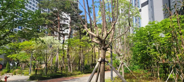 경남 양산시 동면 가산리 1165 사진 2