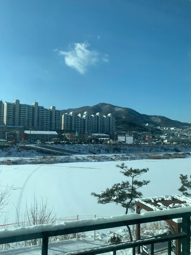 경기 광주시 초월읍 대쌍령리 111-16 사진 4