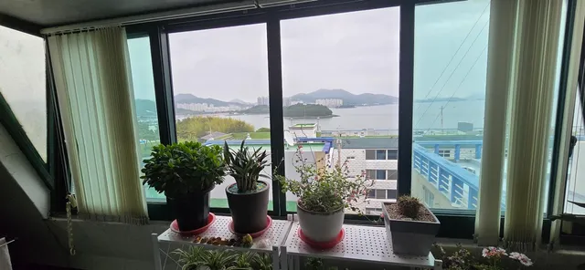 전남 여수시 소호동 432-11 사진 2