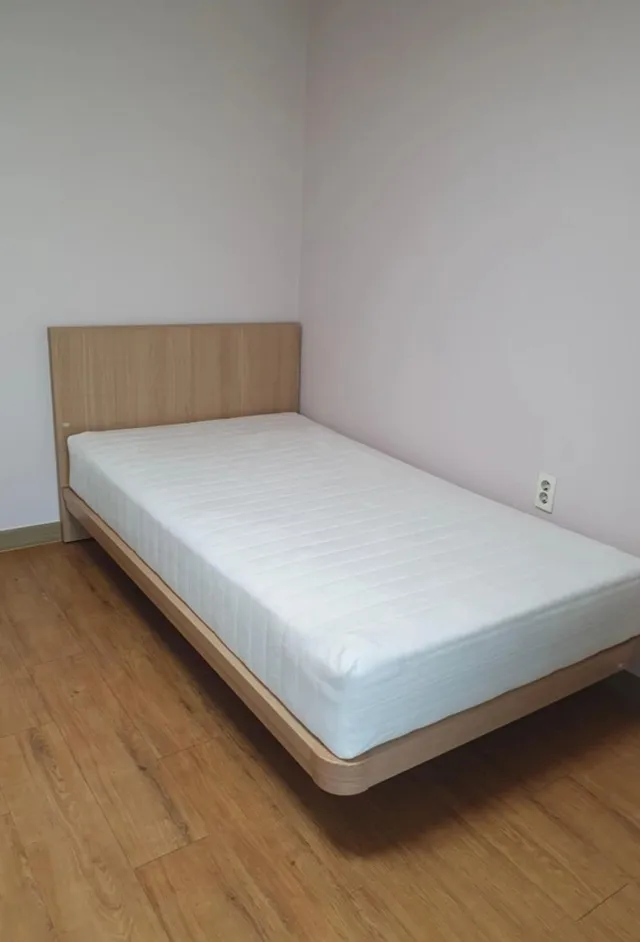 전남 여수시 학동 사진 2