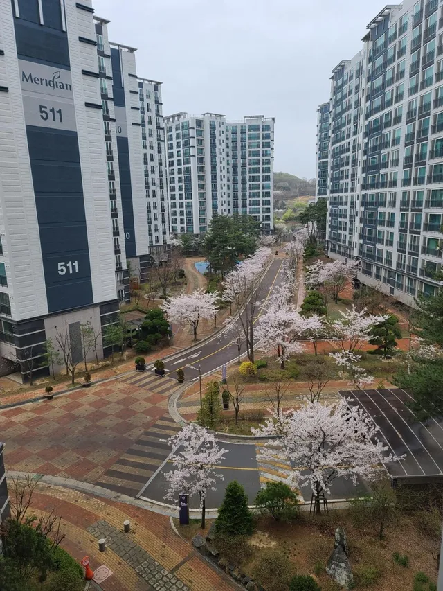 경기 김포시 고촌읍 신곡리 1280 사진 3