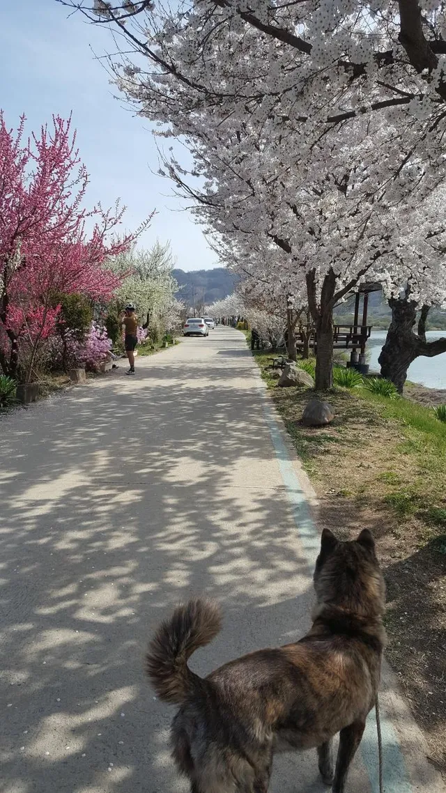 충북 충주시 달천동 863-1 사진 2