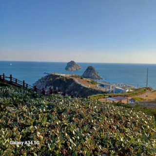 부산 남구 용호동 아파트 매물