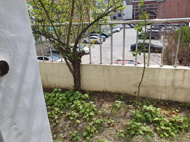 대구 달서구 진천동 560-13 사진 2