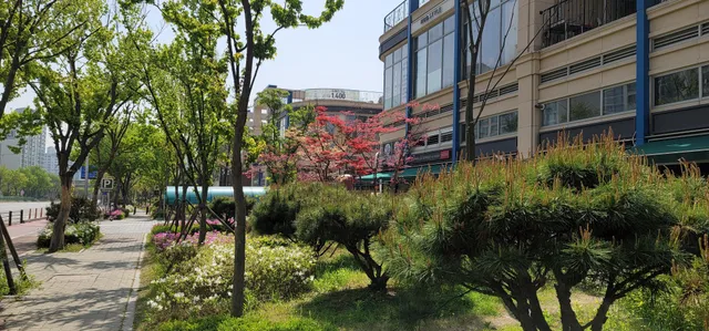 경기 고양시 일산서구 대화동 1050-185 사진 3