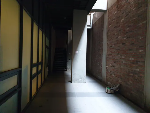 서울 강남구 청담동 사진 4