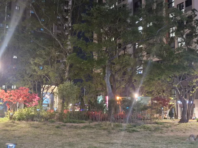 대구 달서구 본리동 1224 사진 2