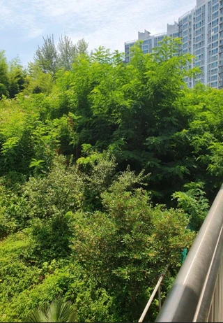 전남 여수시 학동 원룸 매물