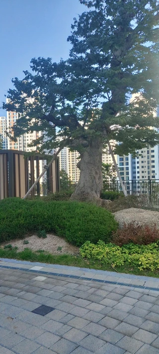 부산 연제구 거제동 쓰리룸 매물