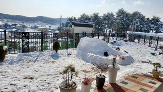 강원특별자치도 강릉시 사천면 노동리 주택 매물