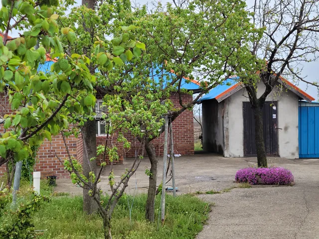 충남 당진시 우강면 신촌리 153-2 사진 4