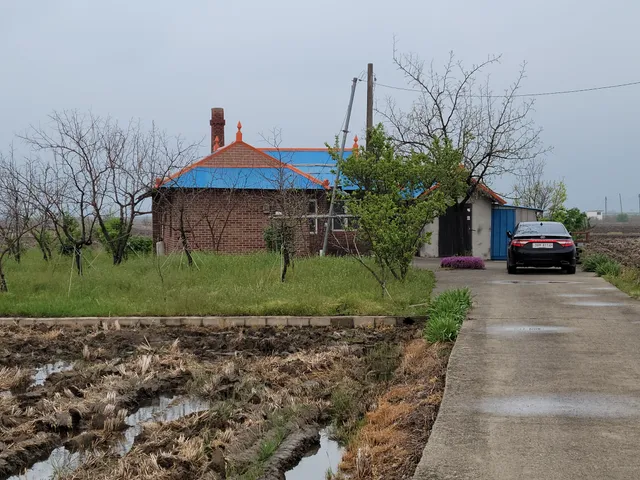 충남 당진시 우강면 신촌리 153-2 사진 3