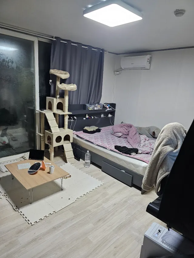 강원특별자치도 삼척시 정상동 356-2 대표 사진