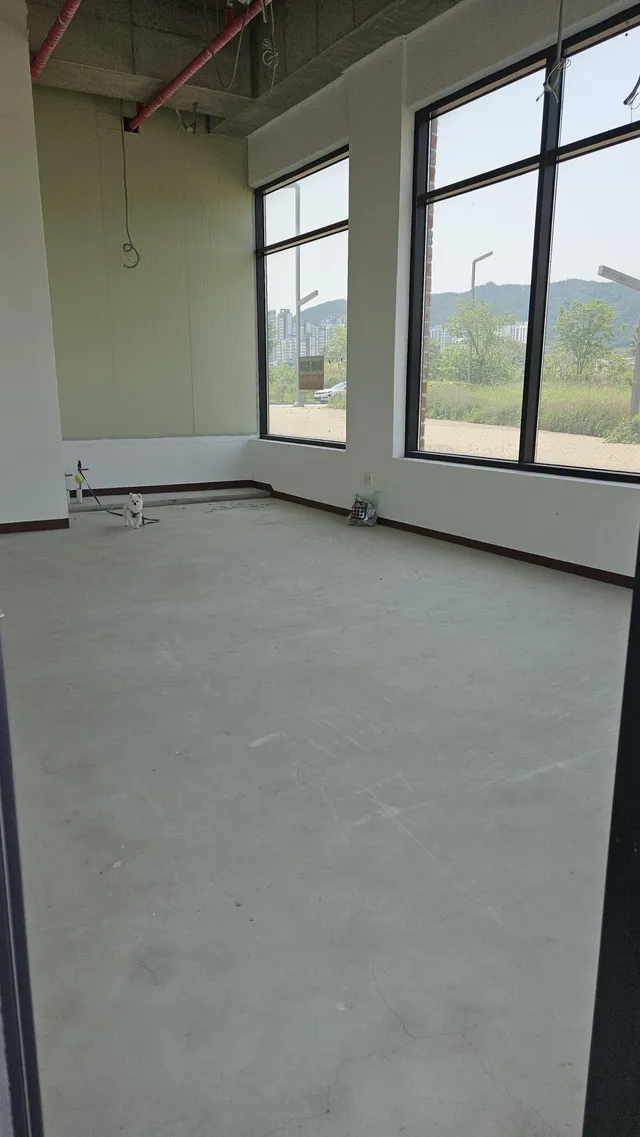 충남 예산군 삽교읍 목리 942 사진 3