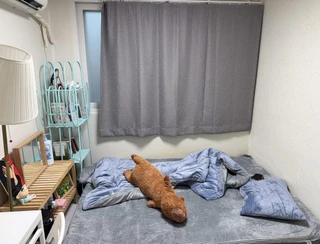 경기 평택시 서정동 투룸 매물