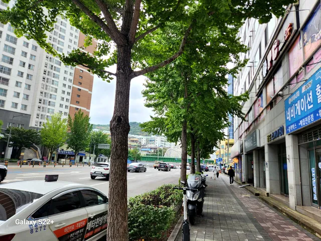 부산 부산진구 당감동 1022 사진 3
