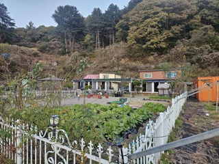 경기 가평군 상면 임초리 주택 매물