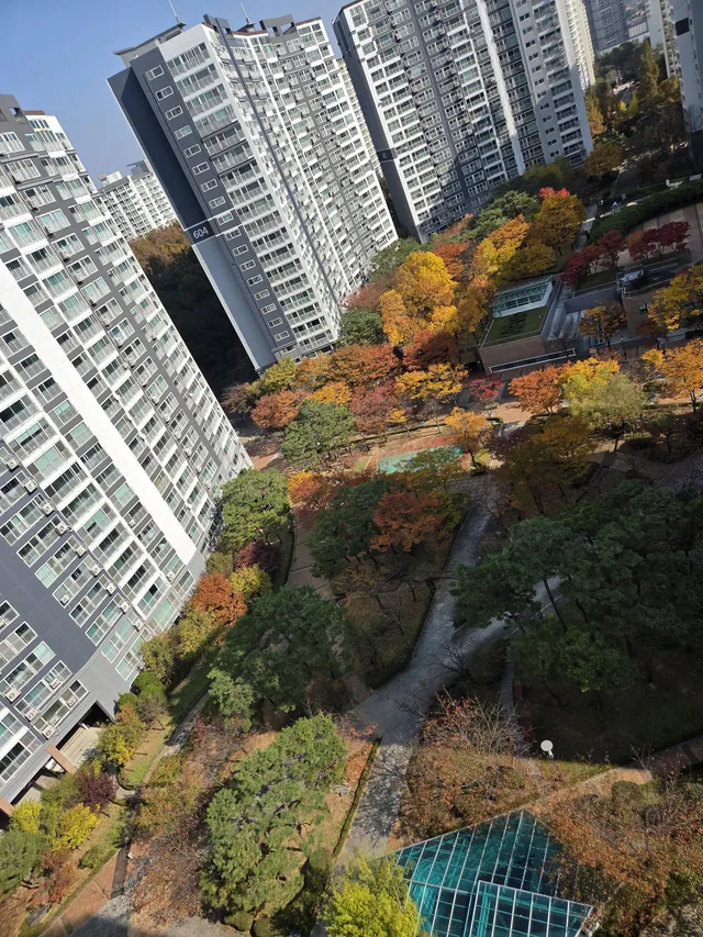 경기 고양시 일산동구 풍동 1268 사진 3
