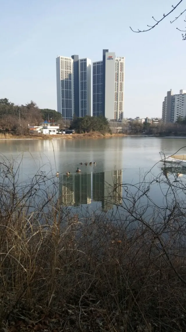 강원특별자치도 속초시 동명동 596 사진 2