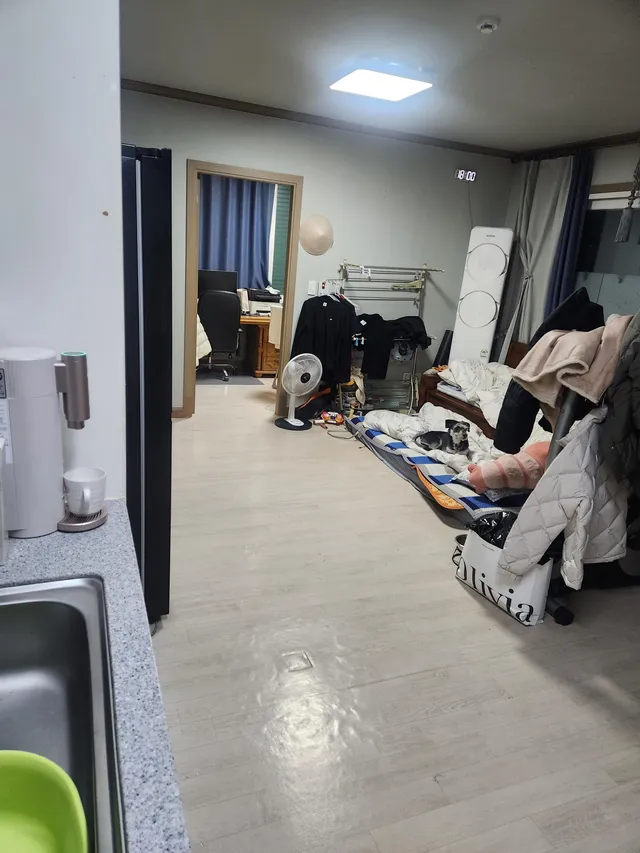 경북 구미시 선산읍 동부리 785 사진 2