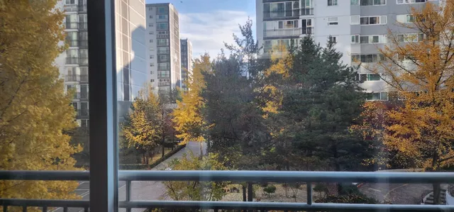 대전 서구 둔산동 1509 사진 2