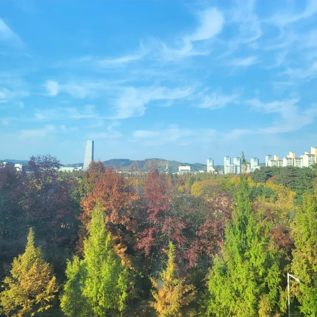 대전 서구 둔산동 915 사진 4