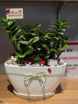 인천 남동구 남촌동 투룸 매물