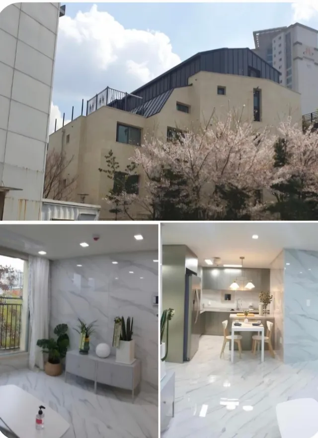 경기 용인시 수지구 풍덕천동 100-45 대표 사진