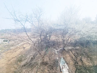 경기 오산시 궐동 원룸 매물
