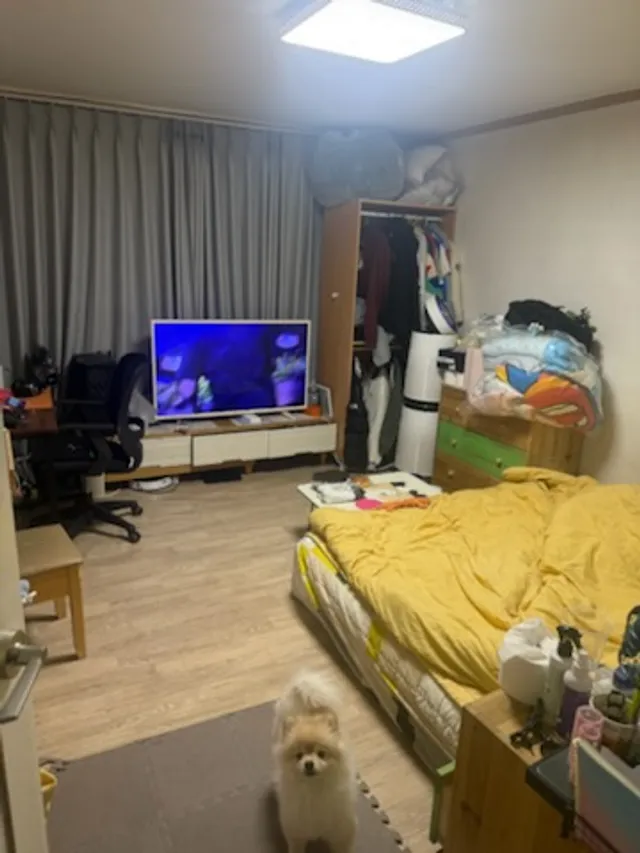 경기 부천시 고강동 407-6 사진 4