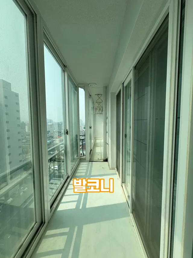 대구 남구 대명동 629-61 사진 4