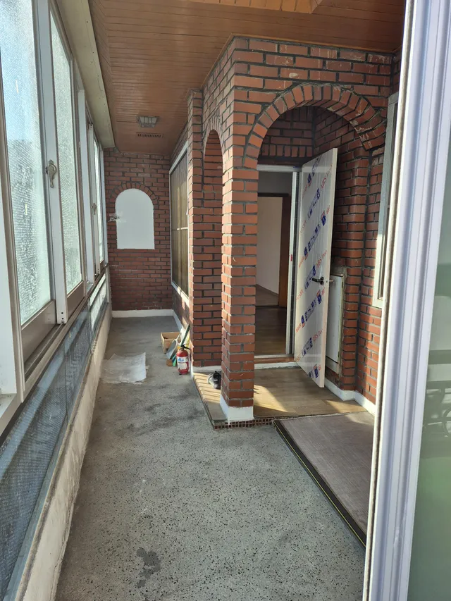 대구 사진 2
