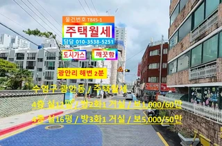 부산 수영구 광안동 투룸 매물
