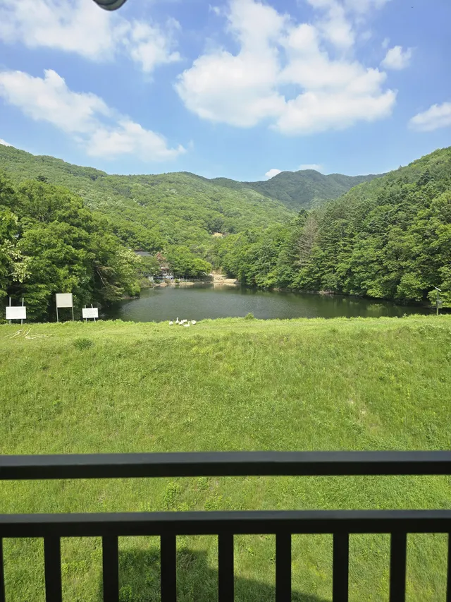 경기 용인시 처인구 모현읍 갈담리 116-1 사진 4