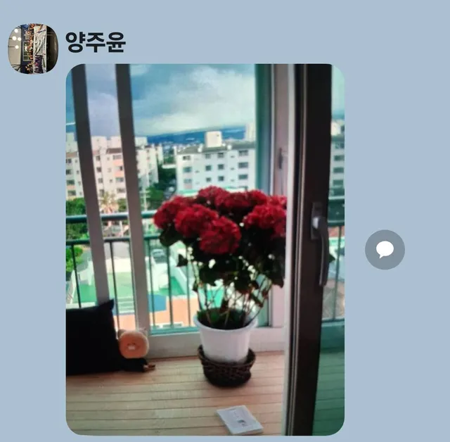 제주특별자치도 제주시 일도이동 408 사진 4