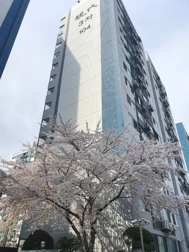 서울 영등포구 당산동4가 88 사진 3