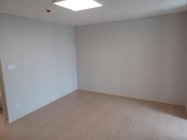 부산 남구 문현동 1255 사진 4