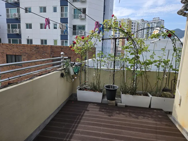 부산 중구 보수동1가 17-2 사진 4